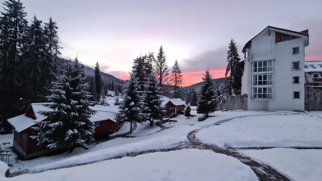Vila Izvorul Minunilor Stana de Vale Bagian luar foto